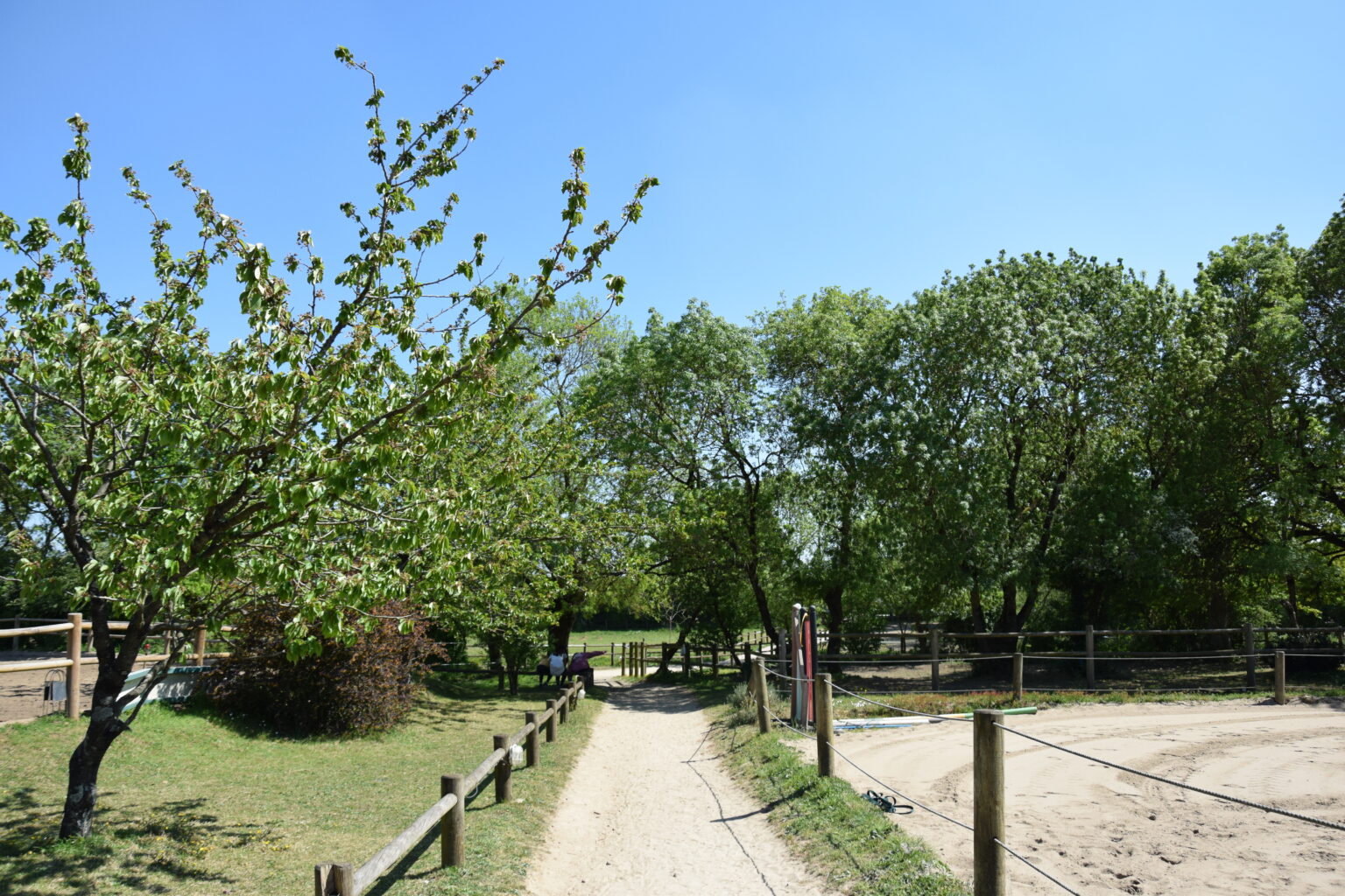 DSC_0896