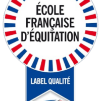 FFE-Logo-Ecole-Française-dEquitation